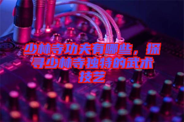 少林寺功夫有哪些,探尋少林寺獨特的武術(shù)技藝