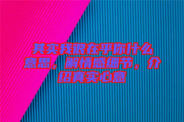 其實(shí)我很在乎你什么意思，解情感細(xì)節(jié)，介紹真實(shí)心意