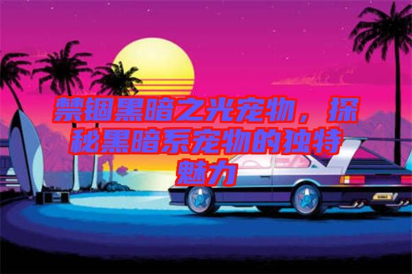 禁錮黑暗之光寵物,探秘黑暗系寵物的獨特魅力