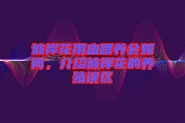 彼岸花用血喂養會如何，介紹彼岸花的養殖誤區