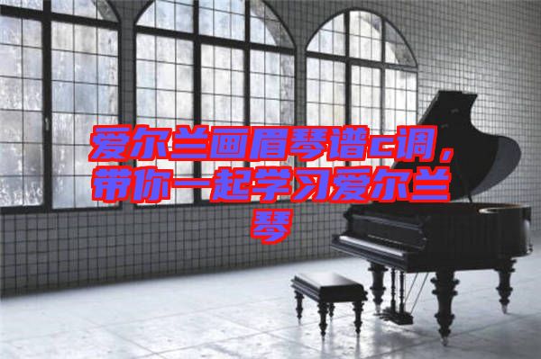 愛爾蘭畫眉琴譜c調(diào),帶你一起學(xué)習(xí)愛爾蘭琴