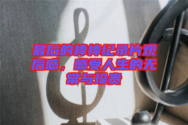 最后的棒棒紀(jì)錄片觀后感,感受人生的無(wú)常與珍貴