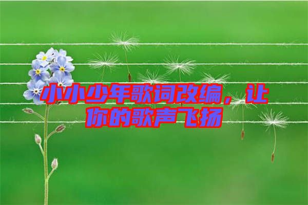 小小少年歌詞改編，讓你的歌聲飛揚(yáng)