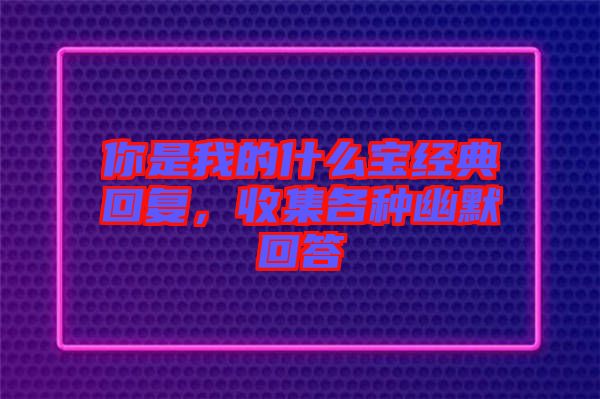 你是我的什么寶經典回復，收集各種幽默回答