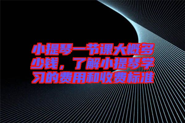 小提琴一節課大概多少錢，了解小提琴學習的費用和收費標準