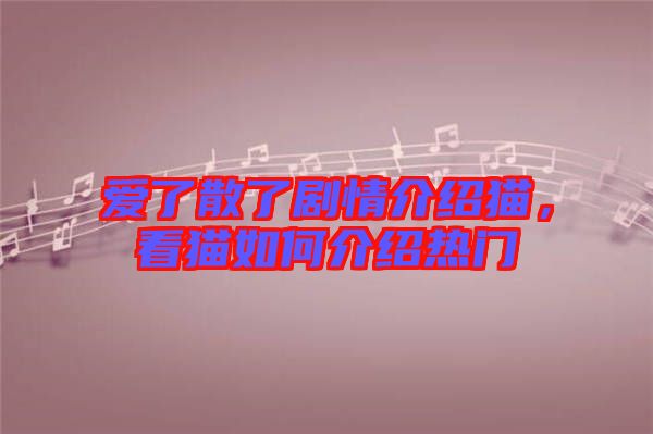 愛了散了劇情介紹貓，看貓如何介紹熱門