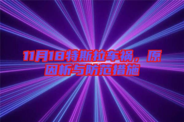 11月18特斯拉車禍，原因析與防范措施