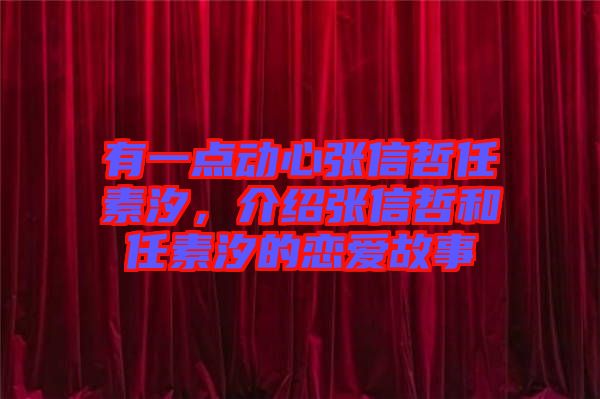 有一點動心張信哲任素汐,介紹張信哲和任素汐的戀愛故事