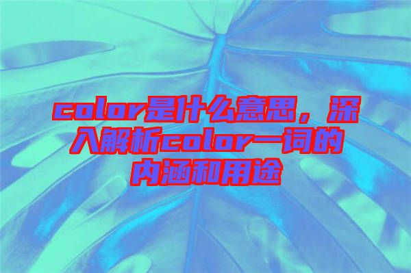 color是什么意思，深入解析color一詞的內涵和用途