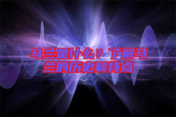 馬蘭是什么？了解馬蘭的歷史和特點