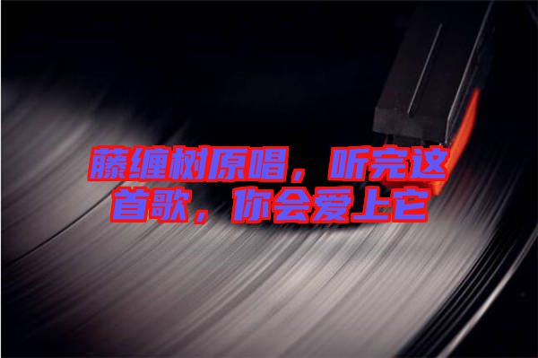 藤纏樹原唱，聽完這首歌，你會愛上它