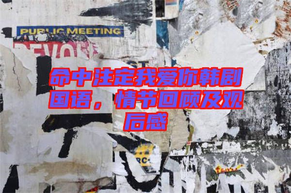 命中注定我愛你韓劇國語,情節(jié)回顧及觀后感