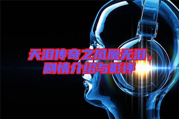 天淚傳奇之鳳凰無淚，劇情介紹與影評