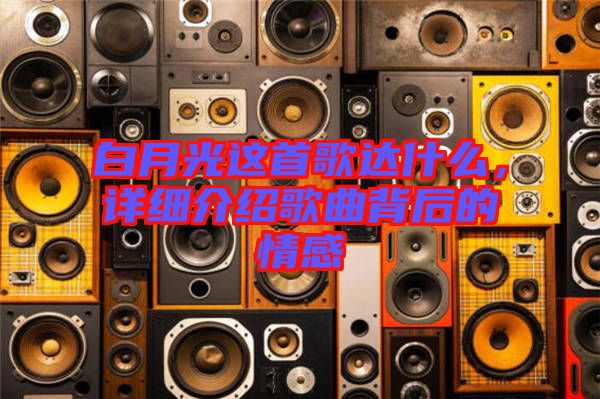 白月光這首歌達什么，詳細介紹歌曲背后的情感