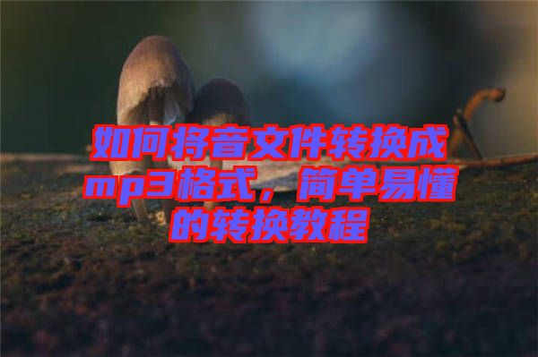 如何將音文件轉換成mp3格式，簡單易懂的轉換教程