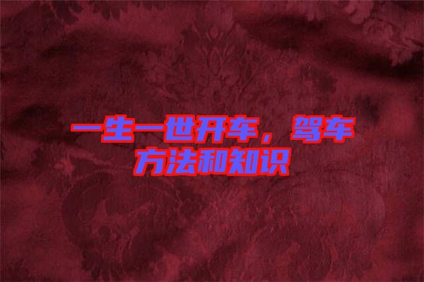 一生一世開車，駕車方法和知識