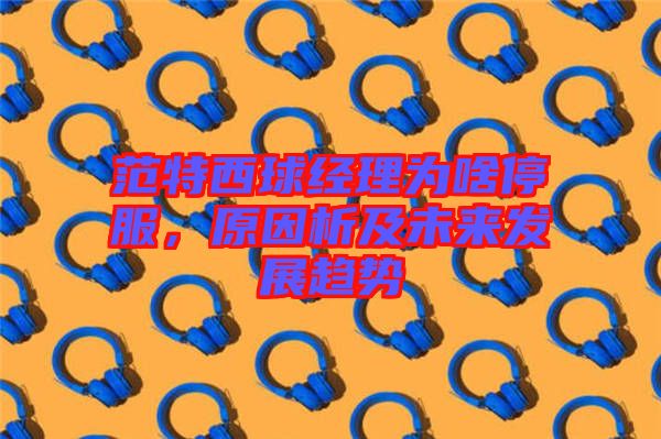 范特西球經(jīng)理為啥停服，原因析及未來(lái)發(fā)展趨勢(shì)