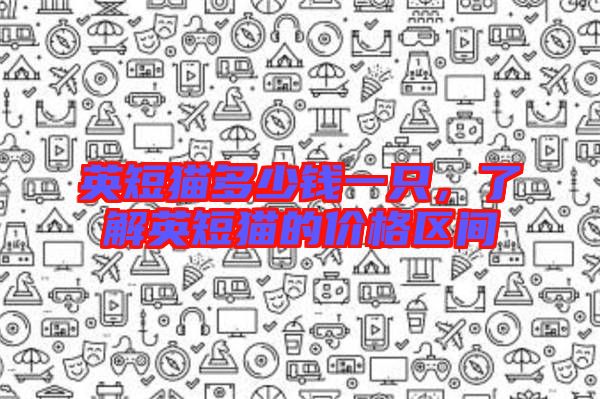 英短貓多少錢一只，了解英短貓的價格區(qū)間