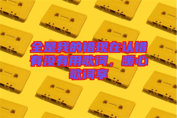全是我的錯現(xiàn)在認(rèn)錯有沒有用歌詞，暖心歌詞享