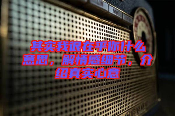 其實我很在乎你什么意思，解情感細節，介紹真實心意