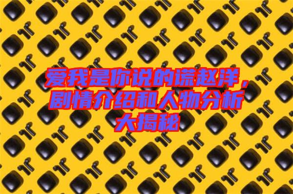 愛我是你說的謊趙洋,劇情介紹和人物分析大揭秘