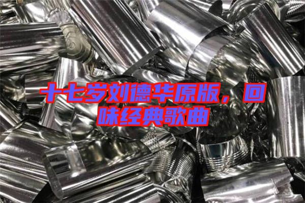 十七歲劉德華原版，回味經(jīng)典歌曲