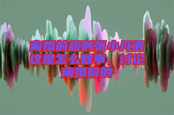 離婚前規(guī)則張小凡很這是怎么回事,討論離婚前的