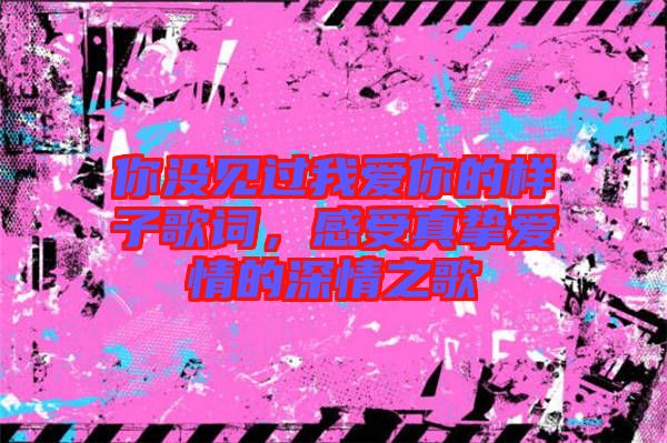 你沒見過我愛你的樣子歌詞，感受真摯愛情的深情之歌