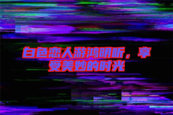 白色戀人游鴻明聽，享受美妙的時光