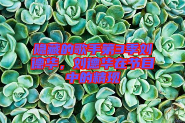 隱藏的歌手第3季劉德華，劉德華在節目中的精現