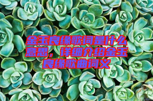 金玉良緣歌詞是什么意思，詳細介紹金玉良緣歌曲詞義