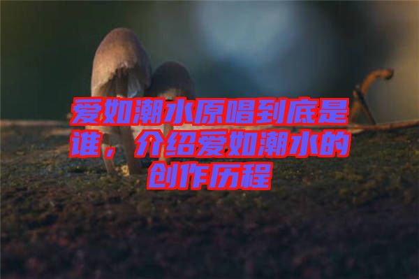 愛如潮水原唱到底是誰，介紹愛如潮水的創(chuàng)作歷程