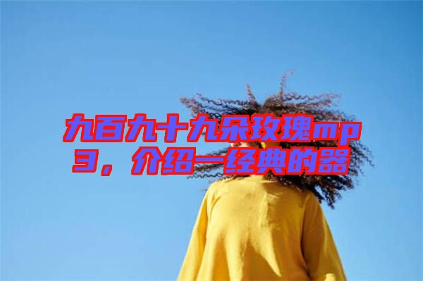 九百九十九朵玫瑰mp3，介紹一經(jīng)典的器