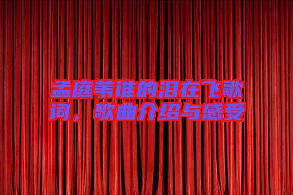 孟庭葦誰(shuí)的淚在飛歌詞，歌曲介紹與感受