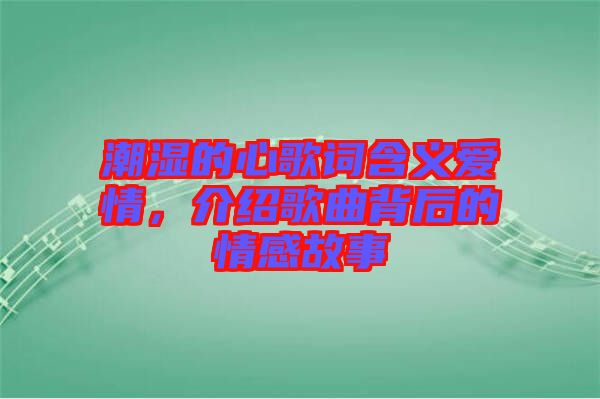 潮濕的心歌詞含義愛情，介紹歌曲背后的情感故事