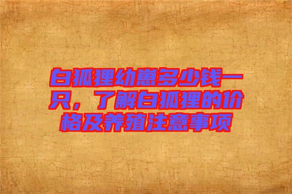 白狐貍幼崽多少錢一只,了解白狐貍的價格及養(yǎng)殖注意事項
