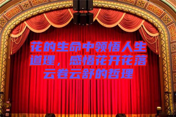 花的生命中領(lǐng)悟人生道理,感悟花開花落云卷云舒的哲理