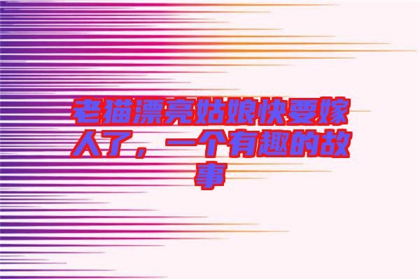 老貓漂亮姑娘快要嫁人了，一個(gè)有趣的故事
