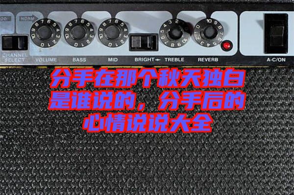 分手在那個(gè)秋天獨(dú)白是誰說的,分手后的心情說說大全