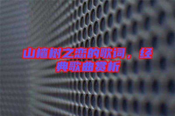 山楂樹之戀的歌詞,經(jīng)典歌曲賞析