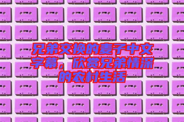兄弟交換的麥子中文字幕，欣賞兄弟情深的農村生活