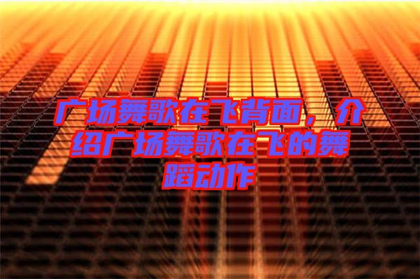 廣場舞歌在飛背面,介紹廣場舞歌在飛的舞蹈動作