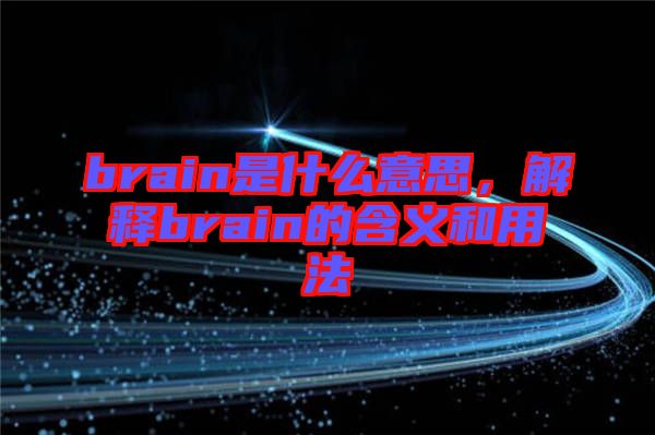 brain是什么意思,解釋brain的含義和用法