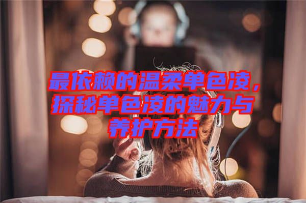 最依賴的溫柔單色凌，探秘單色凌的魅力與養護方法