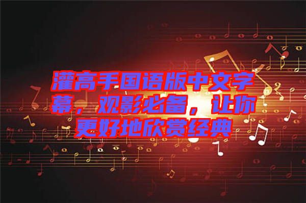 灌高手國語版中文字幕,觀影必備,讓你更好地欣賞經典