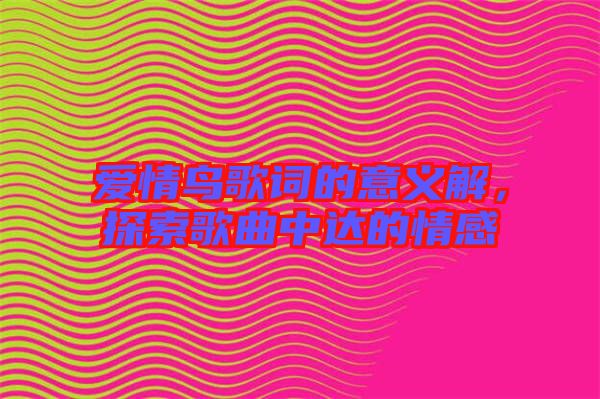 愛(ài)情鳥(niǎo)歌詞的意義解,探索歌曲中達(dá)的情感