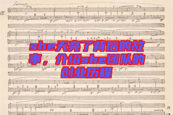 she天亮了背后的故事,介紹she團隊的創(chuàng)業(yè)歷程