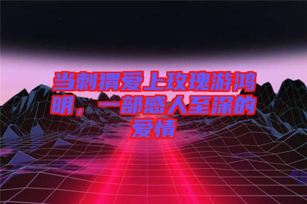 當刺猬愛上玫瑰游鴻明,一部感人至深的愛情