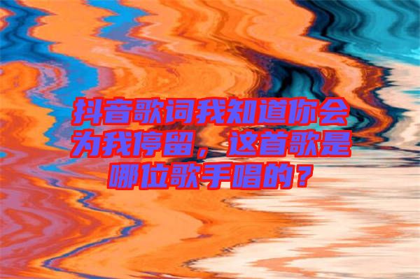 抖音歌詞我知道你會為我停留，這首歌是哪位歌手唱的？