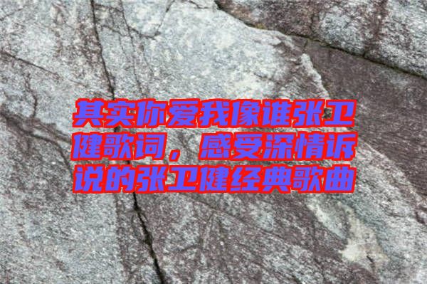 其實你愛我像誰張衛(wèi)健歌詞,感受深情訴說的張衛(wèi)健經(jīng)典歌曲